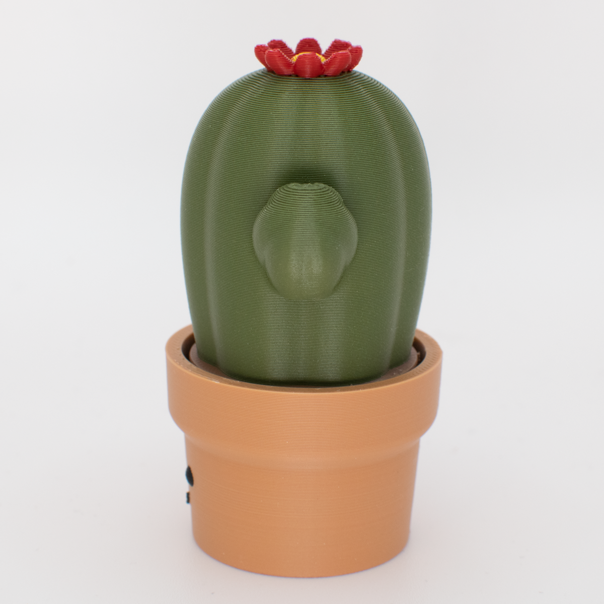 Cactus Fidget Clicker
