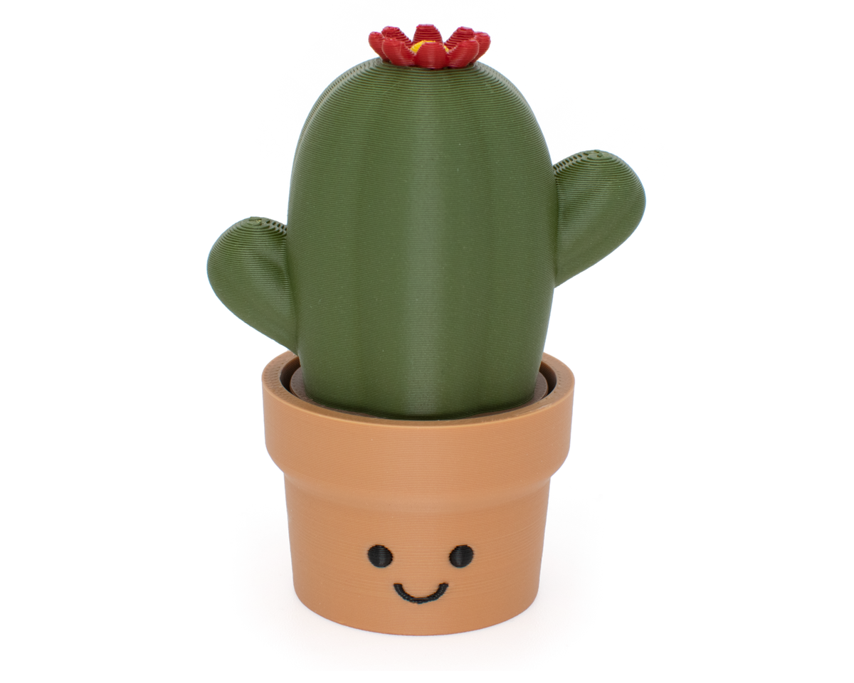 Cactus Fidget Clicker